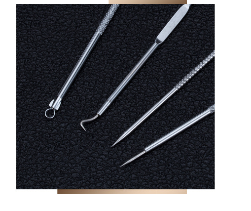 Stainless Steel Pimple Extractor 4-Piece Set